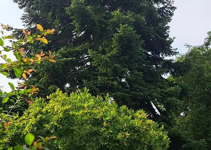 Apartmán An Der Tanne Mit Ueberdachter Terrasse
