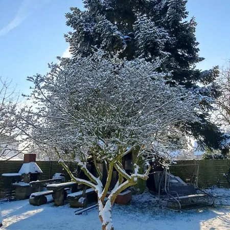 An Der Tanne Mit Ueberdachter Terrasse *