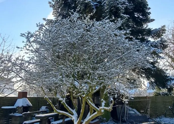 An Der Tanne Mit Ueberdachter Terrasse *