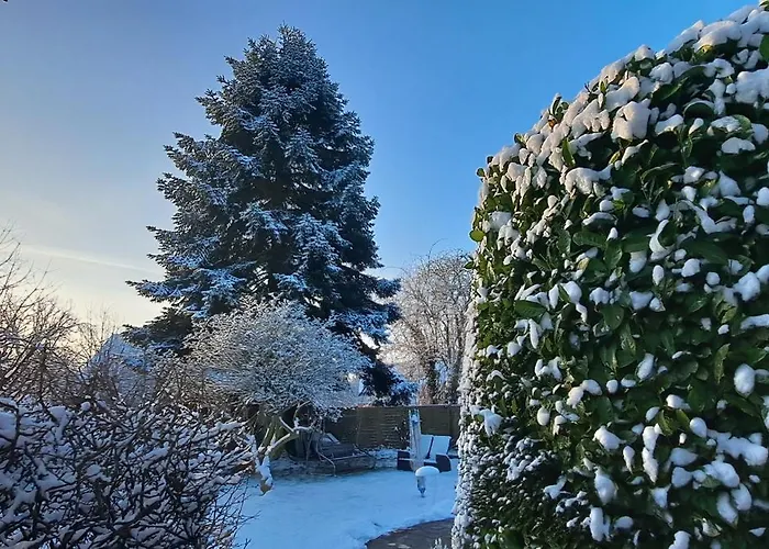 An Der Tanne Mit Ueberdachter Terrasse * Düsseldorf