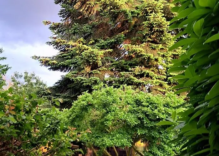 Lejlighed An Der Tanne Mit Ueberdachter Terrasse Düsseldorf